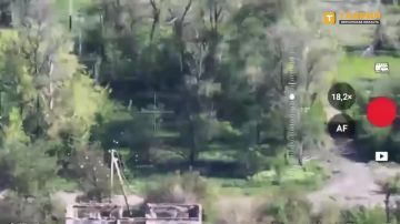 �������������� �� �� ������� �������� �� "������������" ��������� ������� � ����������� �������