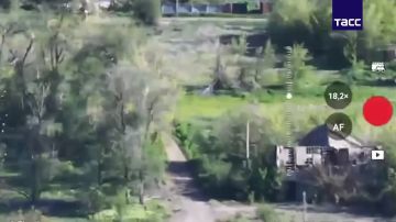 Ульяновские десантники дронами сбросили листовки на позиции ВСУ с использованием БПЛА "Молния" на ореховском направлении в Запорожской области