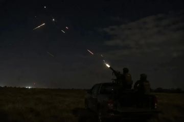 Ночная атака отражена: над Херсонской областью сбили 12 беспилотников