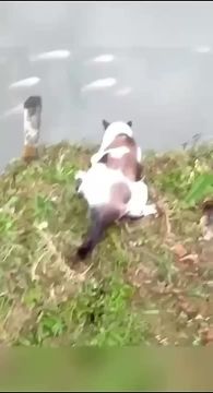 ������� - ���� ������. ������ ��������� 15 ������ � ����� ��������