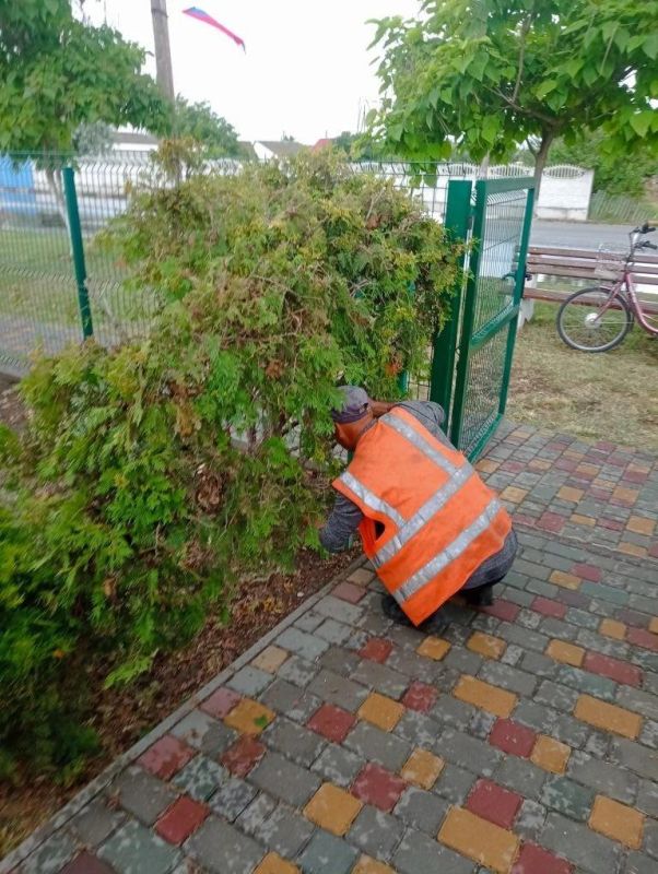 Александр Дудка: В ТУ «Лазурное» продолжаются плановые работы по благоустройству Александр Дудка: В ТУ «Лазурное» продолжаются плановые работы по благоустройству