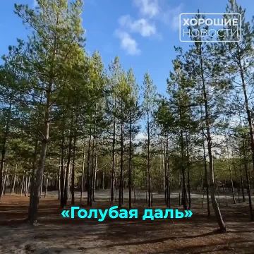 � ������ ����� ������������ �����������