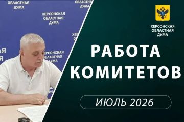 Комитет рассмотрел инициативы федеральных законов в сфере социальной политики, защиты семьи, образования и здравоохранения