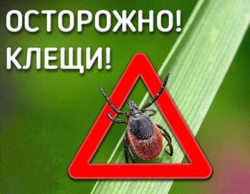 Ситуация по клещевым инфекциям в Херсонской области и меры профилактики
