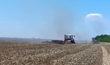 Порядка 10 гектаров пшеничного поля выгорело в Каховском округе в результате атаки дрона ВСУ
