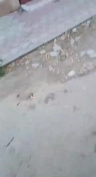 В Херсоне ВСУ ведут минометные обстрелы прямо из городской застройки, сообщил Владимир Сальдо