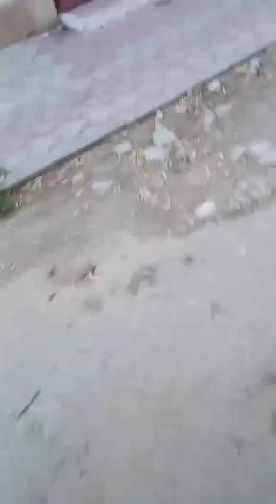 В Херсоне ВСУ ведут минометные обстрелы прямо из городской застройки, сообщил Владимир Сальдо