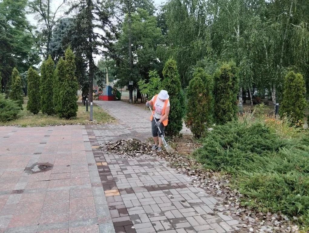 В Скадовске прошла плановая уборка центральной улицы В Скадовске прошла плановая уборка центральной улицы