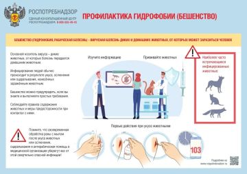 � ������������ ���������. ��������� � ��� ������ �������� ������������ ����������� � ���������� ������������