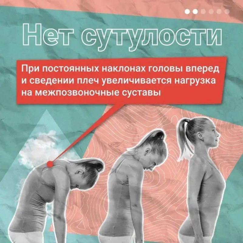 Здоровый позвоночник невозможен без крепких мышц — они работают как щит, предупреждая грыжи и остеохондроз Здоровый позвоночник невозможен без крепких мышц — они работают как щит, предупреждая грыжи и остеохондроз