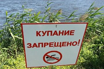 Лабораторией ФБУЗ «Центр гигиены и эпидемиологии в Херсонской области» проведены исследования проб воды поверхностного водоема в точке: «Херсонская область, Новотроицкий муниципальный округ, с. Заозерное, акватория ставка со...