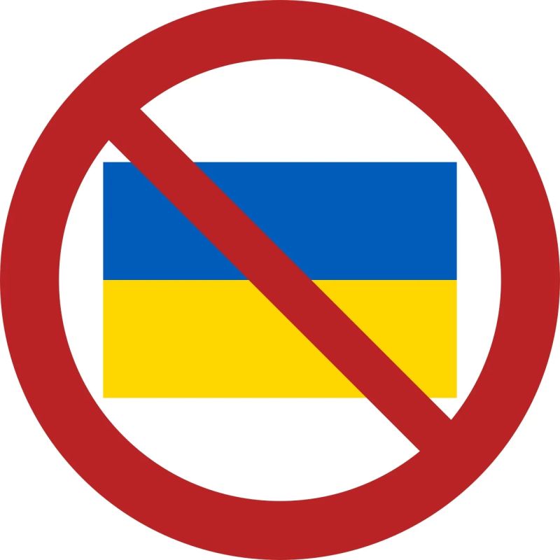 С 2027 Европа не будет защищать военнообязанных украинцев
