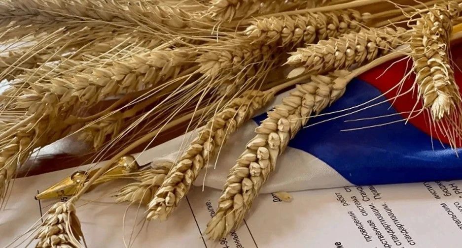 Аграриям на заметку: готовим документы для реализации урожая!