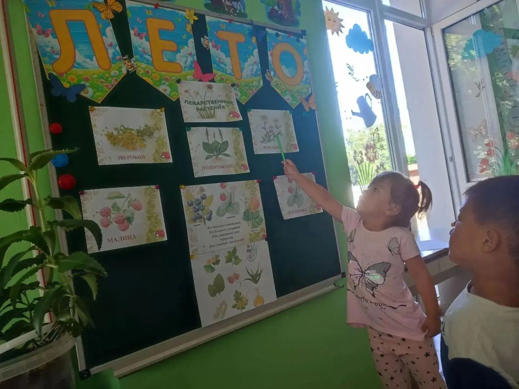 День лекарственных растений в детском саду Скадовского округа День лекарственных растений в детском саду Скадовского округа