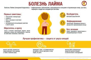 Болезнь Лайма (клещевой боррелиоз) — это инфекционное заболевание, которое передается человеку через укус инфицированных иксодовых клещей
