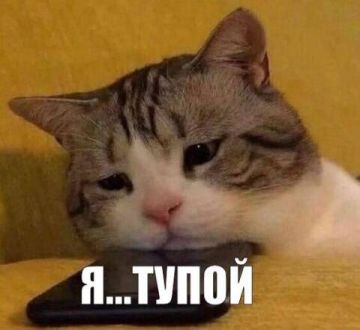 Тиктоки и рилсы лишают дисциплины и самоконтроля: короткие видео подавляют отвественные за это зоны мозга