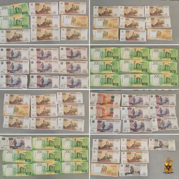 В Алешкинском округе полицейские задержали подозреваемых в краже из магазина