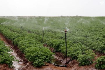 Более 2,8 тыс. гектаров оросили в Чаплинском и Новотроицком округах с начала сезона
