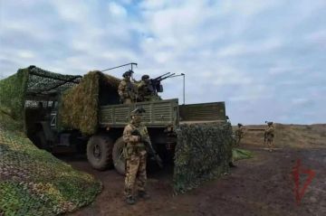 Росгвардейцы уничтожили более 420 БПЛА над Херсонской и Запорожской областями