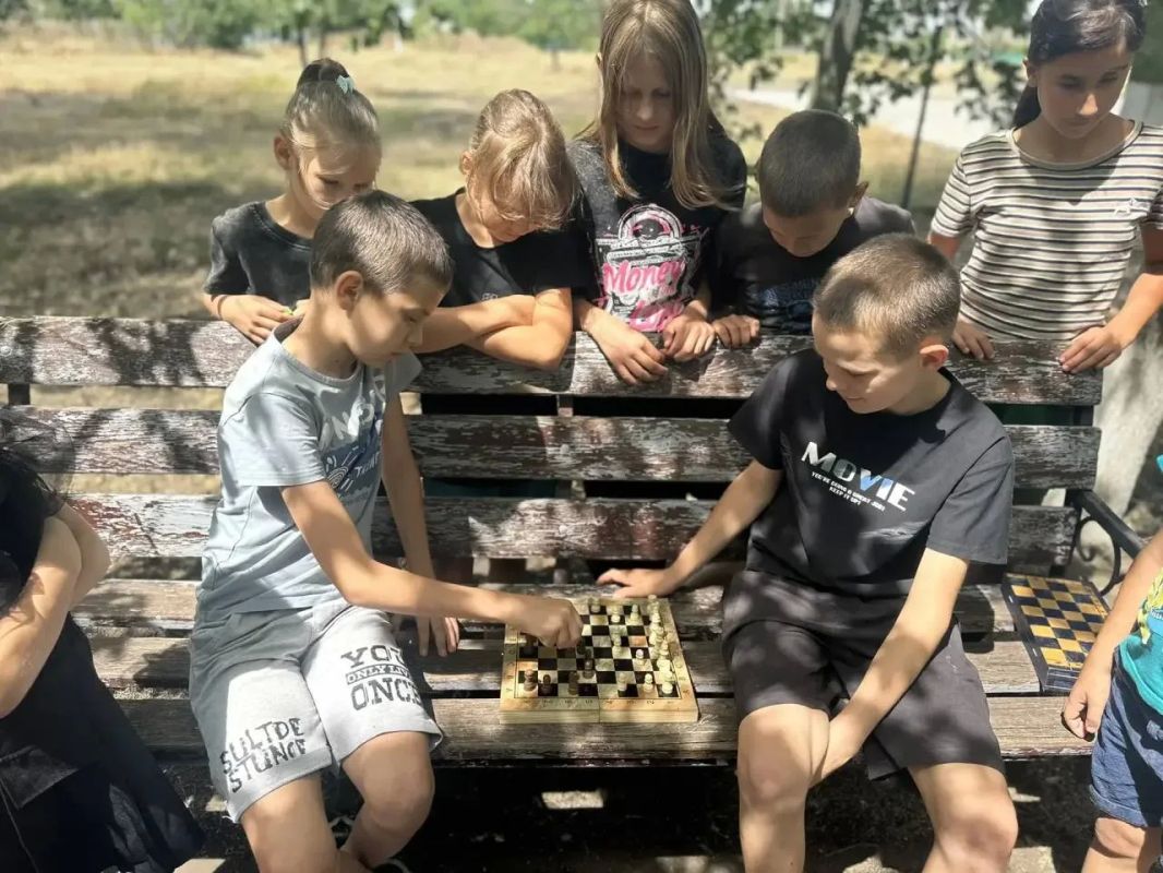 В Вольном провели соревнования по шахматам "Храбрая пешка: первый турнир" В Вольном провели соревнования по шахматам "Храбрая пешка: первый турнир"