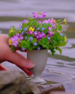 ��������� ���� 18 ���� � ���������� ������� ����� ������, ��� �������