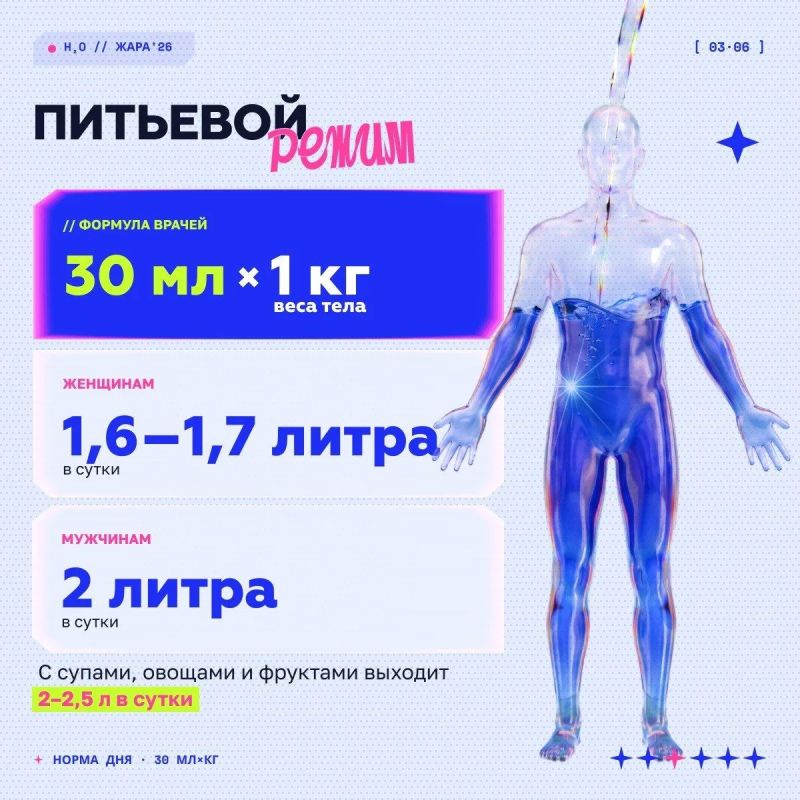 В сильную жару питьевой режим выходит на первый план В сильную жару питьевой режим выходит на первый план
