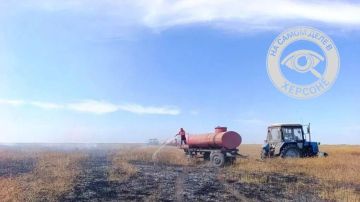 В заповеднике «Аскания-Нова» из-за атак ВСУ огнём уничтожено более 3 тысяч гектаров уникальных степей