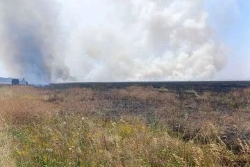 ВСУ выжгли заповедник под Херсоном
