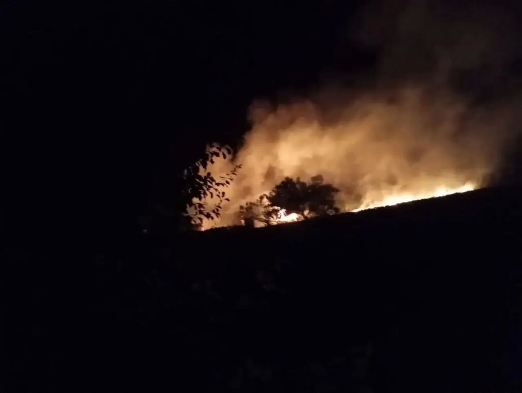За неделю с 13 по 19 июля в результате обстрелов со стороны ВСУ погибли пять мирных жителей Алешкинского округа, 17 человек ранены, сообщил Руслан Хоменко За неделю с 13 по 19 июля в результате обстрелов со стороны ВСУ погибли пять мирных жителей Алешкинского округа, 17 человек ранены, сообщил Руслан Хоменко