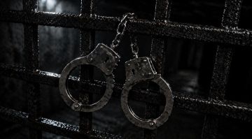 Енот из Херсона: Жителя Запорожской области приговорили к 13 годам колонии за шпионаж