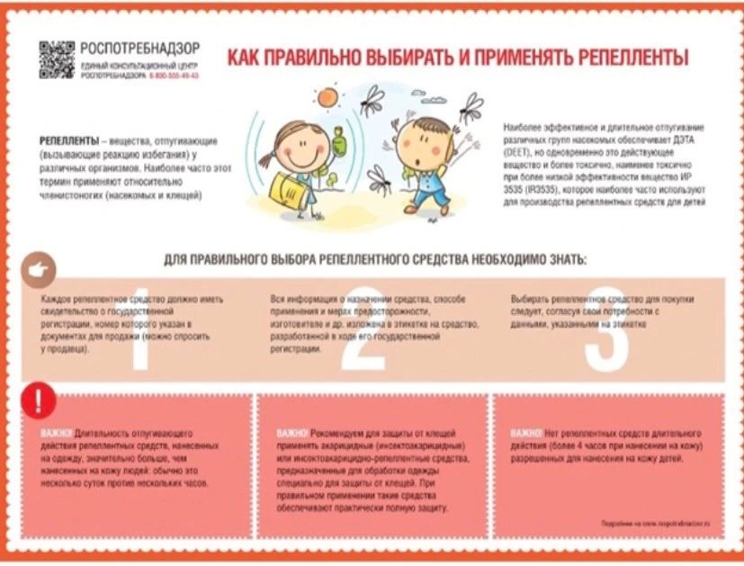 Как защититься от комаров. Комары — не просто надоедливые насекомые, а переносчики опасных инфекций