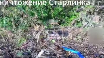 Владимир Сальдо: Операторы БПЛА 49-й армии группировки войск «Днепр» уничтожили вражеский пункт управления дронами на правобережье Херсонщины