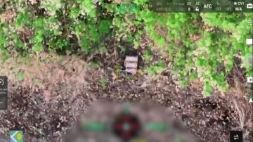 ВСУ на Днепре утратили способность вести прицельный огонь после атаки БПЛА