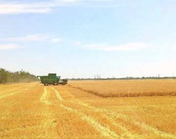 Аграрии Каховского округа собрали урожай с 40% площадей, засеянных зерновыми культурами, сообщил Павел Филипчук