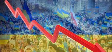 Енот из Херсона: В следующем году поддержка Украины значительно сократится после выборов в странах Европы, и это уже не прогноз, а констатация тектонического сдвига: с каждым месяцем всё больше государств демонстративно...