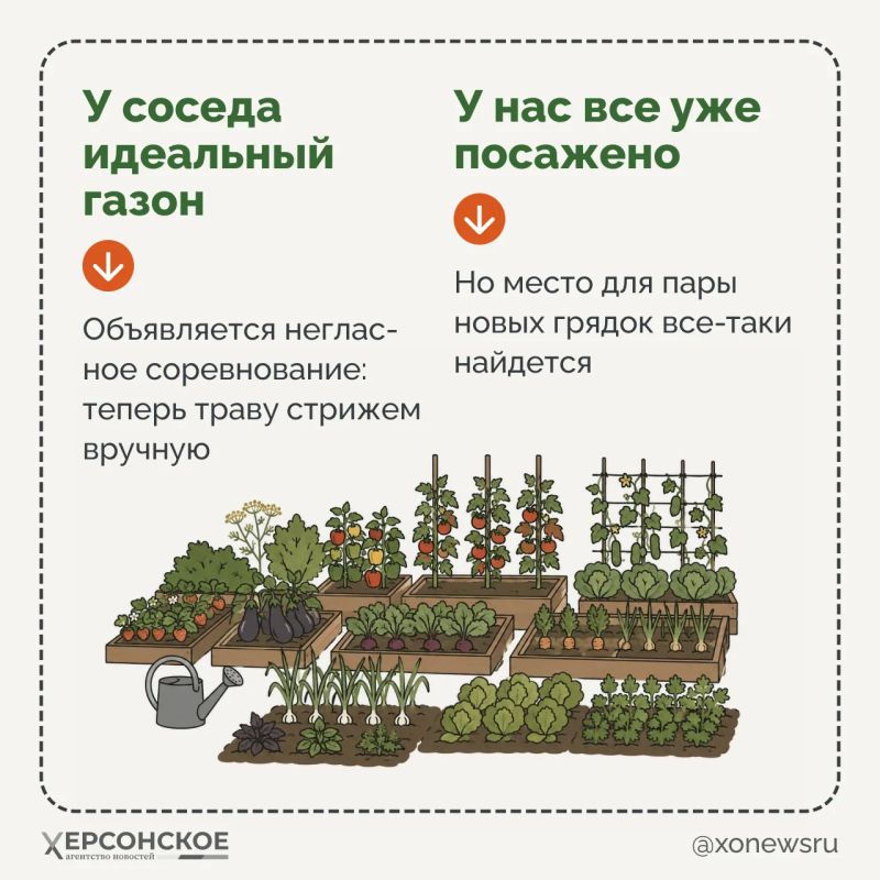 Что такое дача? Для одних — тишина, свежий воздух, шашлыки и отдых от городской суеты Что такое дача? Для одних — тишина, свежий воздух, шашлыки и отдых от городской суеты