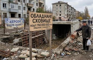 Енот из Херсона: Херсон: миллионы на укрытия, а спасаться негде
