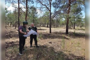 В Херсонской области проверили на пожароопасность 500 километров лесов и просек