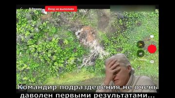 Енот из Херсона: Запорожское направление. Очередная подборка о прожарке ВСУк