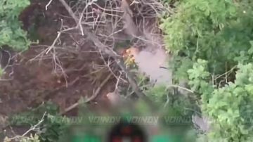 Гвардейцы 37 отдельной мотострелковой бригады 36 армии группировки войск "Восток" уничтожили времянку противника западнее Любицкого