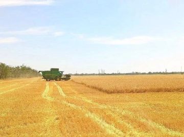 В Каховском округе активно ведется сбор урожая зерновых