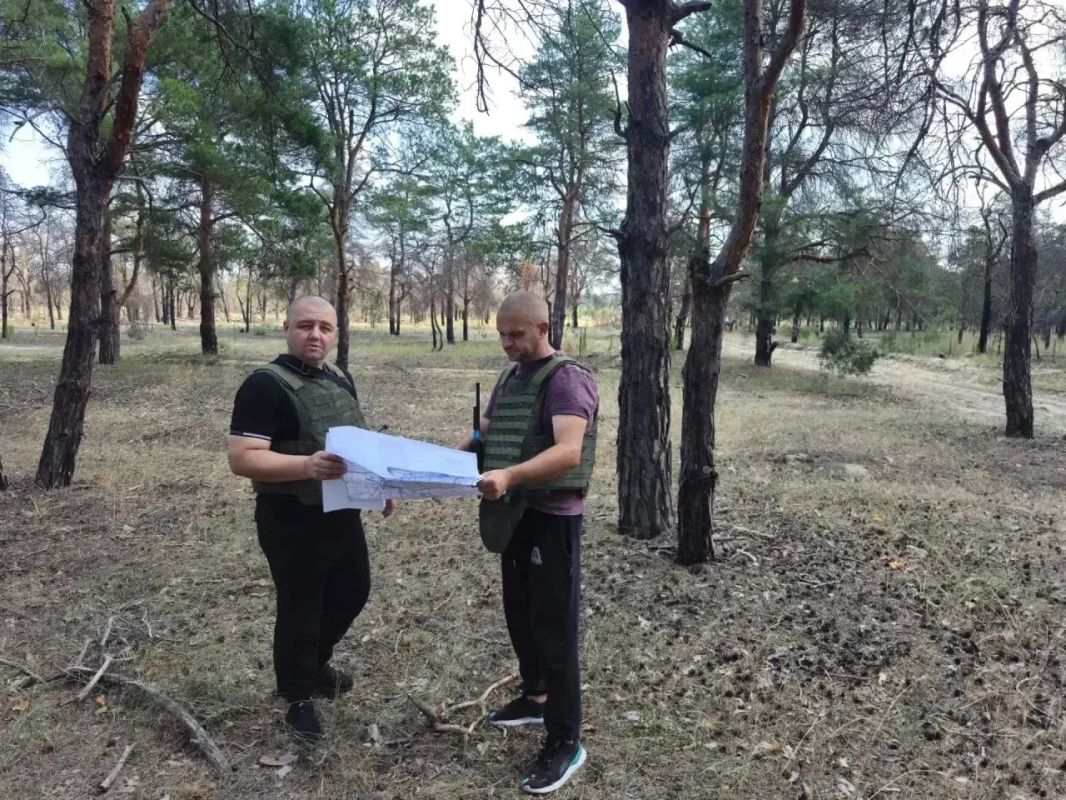 Сосновые боры под постоянным контролем лесной охраны Сосновые боры под постоянным контролем лесной охраны