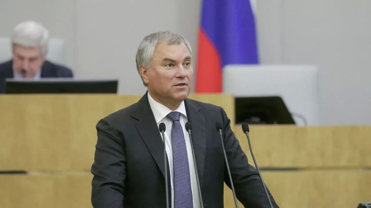 Татьяна Томилина: Вячеслав Володин призвал не называть оппозицией тех, кто давно порвал с Родиной и живёт на подачки из-за рубежа