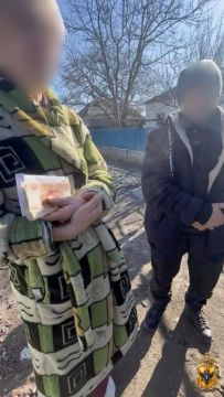 Двое жителей Новотроицкого округа осуждены за мошенничество с маткапиталом на 690 тысяч рублей