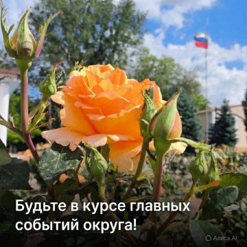 Будьте в курсе главных событий Алешкинского округа!