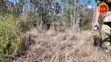 ���� �� �������: ��������� ������������� �������������� ����������� � ������� ������ ���������� ���� �� ���� ��������� ����� � ����������� �������