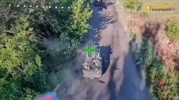 Енот из Херсона: Ивановские десантники группировки войск "Днепр" с помощью FPV-дронов сорвали ротацию и подвоз грузов ВСУ