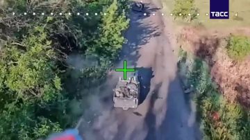 Ивановские десантники сорвали ротацию и снабжение ВСУ в Запорожской области