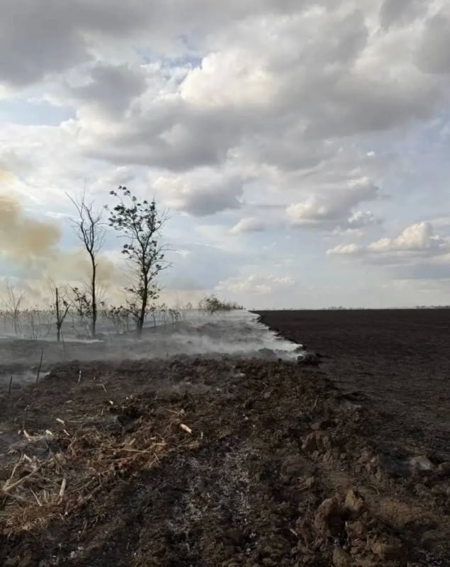 Поля с зерновыми культурами загорелись в Горностаевском округе после атак вражеских БпЛА Поля с зерновыми культурами загорелись в Горностаевском округе после атак вражеских БпЛА