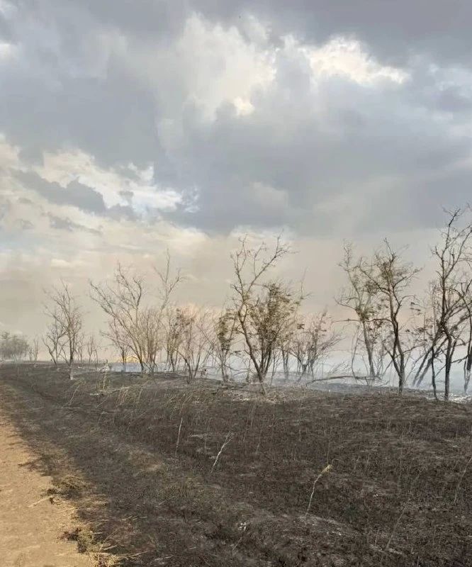 Поля с зерновыми культурами загорелись в Горностаевском округе после атак вражеских БпЛА Поля с зерновыми культурами загорелись в Горностаевском округе после атак вражеских БпЛА